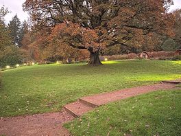 The view from the pod i stayed in