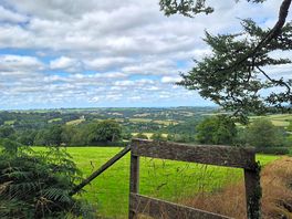 View from a walk