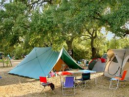 Tent pitches under the trees