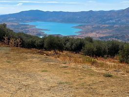 View from oasis las palmeras