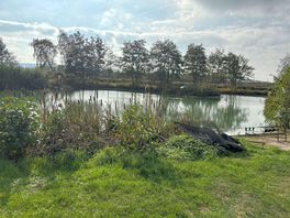 Scenic