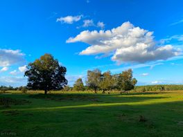Local scenery