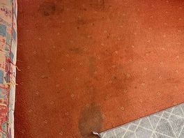 Carpets stained and stunk