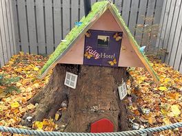 Lovely designated dog walk on site with interesting things for kids to see on the way round