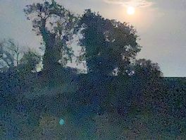 Peaceful moonlit evening
