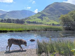 Walk along the river