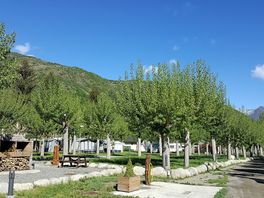 Green views