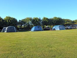 Very spacious and well maintained camping area! loved it!