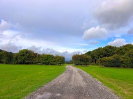 The driveway