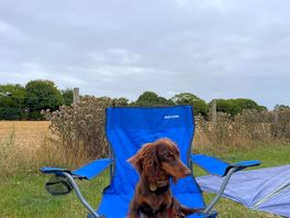 Benji’s first camping trip