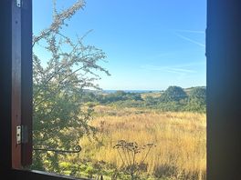 Poo with a view