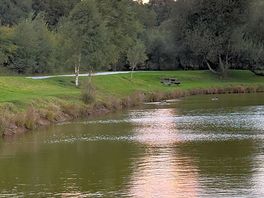 Tranquility