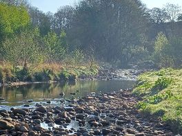 River near many pitches