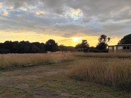 Glorious sunset