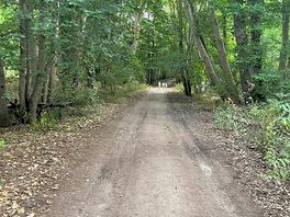 Great local woodland.