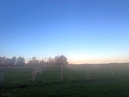 Morning view
