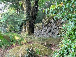 Wonderful walk