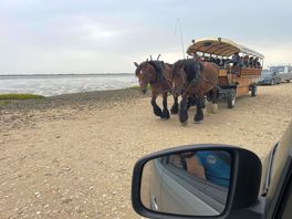 Ile de madame