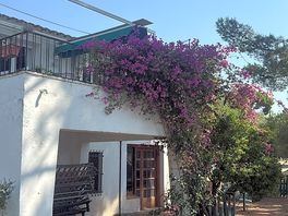 Rincones delicados