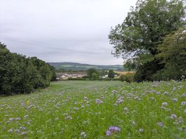 On walk from site