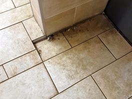 Dirt behind entrance, from time we arrived until we left, not cleaned up
