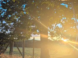 Sunset view