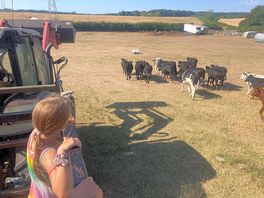 Tractor ride
