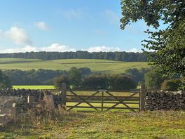 View from across the road from campsite