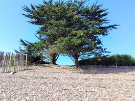 Along the walk from blue anchor