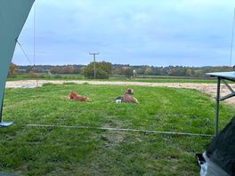 View from our pitch