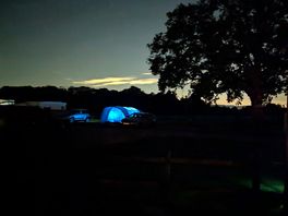 Our pitch situated under a lovely oak tree.