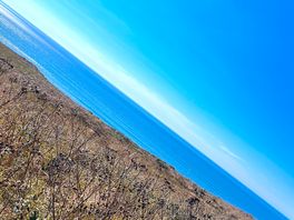 Views from sandparks