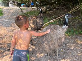 Emu