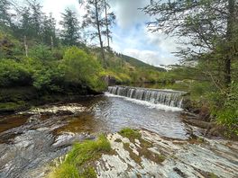 Hafren forest towards river severn source
