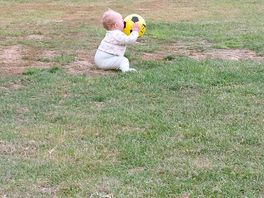 Massive fields to let the kids explore