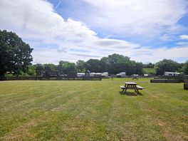 View of the park from my tent