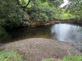 View of the river on site