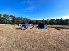 Beautiful sunny morning