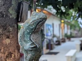 Één van de vele leuke dieren beelden op de camping