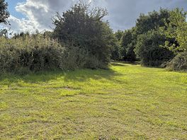 Plenty of space between campers and natural plant barriers between pitches.