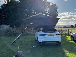 Tentbox & dog
