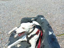 Dave enjoying the sun