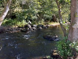 River in park
