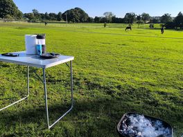 Ready for bbq