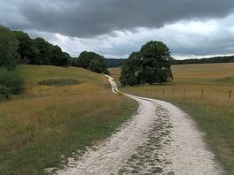 Dirt road