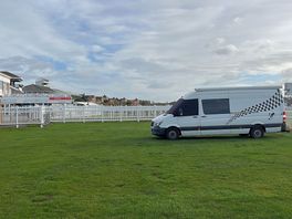 Shame no horses about.