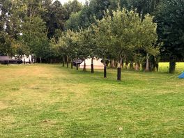 Lots of space - apple trees all around.