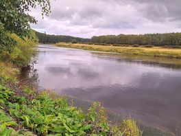 Lake view while walking around the grounds