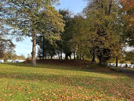 Yep, still amongst the trees