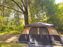 Sleep under the tree canopy
